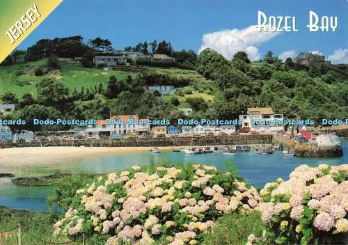 D270448 Trikot Rozel Bay John Hinde Mike Guy