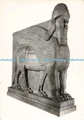 D272310 The British Museum Ashur Nazir Pal II A V Fry