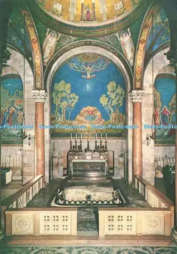 D264090 Jerusalem The Basilica of the Agony Palphot Holy Views