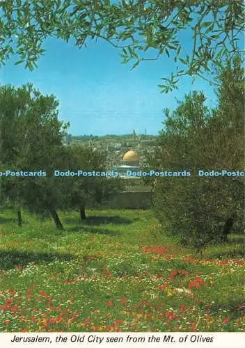 D264091 Jerusalem Die Altstadt vom Ölberg aus gesehen Palfoto