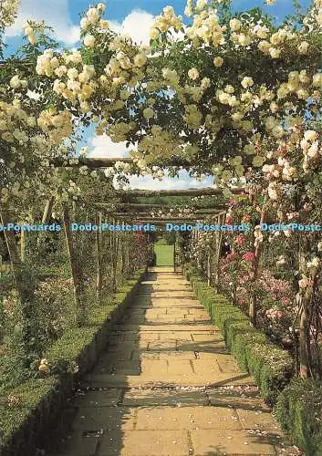 D264278 Surrey Polesden Lacey Dorking The Rose Garden Larkfield Druck Rob Matte
