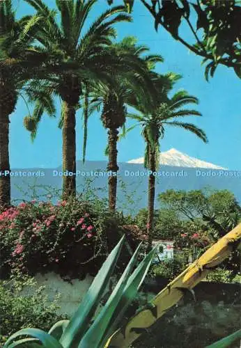 D264369 Teide Teneriffa Vulkan Teide von Puerto de la Cruz Ro Foto