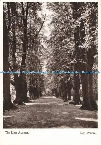 D264486 Ken Wood The Lime Avenue The Iveagh Bequest Geo Pulman