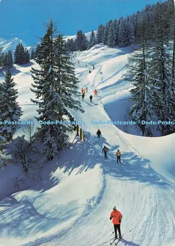 D264497 Grusse Von der Schiabfahrt Tiroler Kunstverlag Chizzali K T V