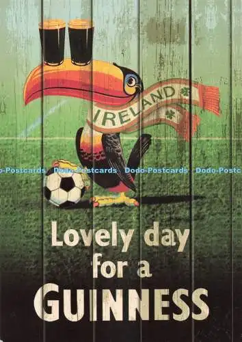 D264504 Schöner Tag für ein Guinness Irland Kleeblatt Geschenk Firma Tukan WM
