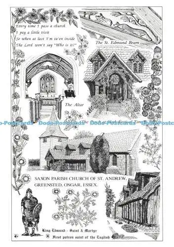 D264508 Essex Ongar Greensted Sächsische Pfarrkirche St. Andrew The St Edmund Bea
