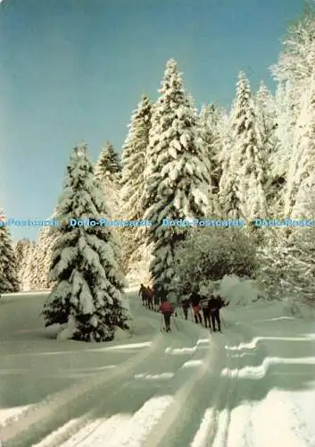 D264516 Jura Joie et Sante par le Ski de Fond R Jeanneret Danner