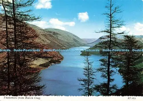 D264586 Thirlmere von Raven Crag Valentine