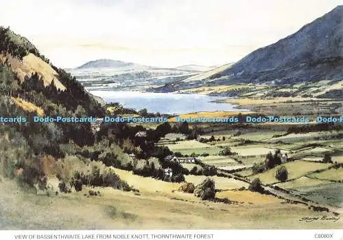 D264784 Thornthwaite Forest View of Bassenthwaite Lake from Noble Knott Judges P