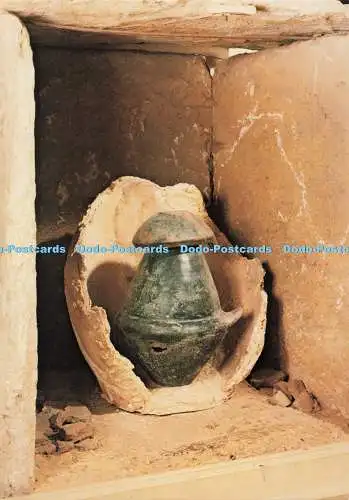 D269552 Tomba di Badia a Ziro Con Ossuario Di Tipo Villanoviano Volterra Marco G