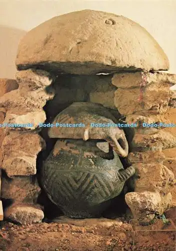 D269553 Tomba Villa Noviana a Pozzetto Museo Guarnacci I F I