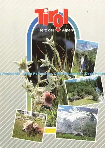 D269584 Tirol Herz der Alpen Risch Lau und Gebr Metz Multi View