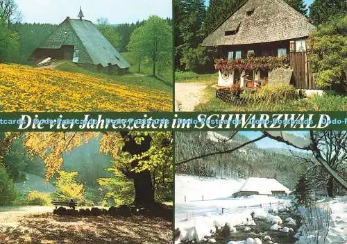 D264854 Die vier Jahreszeiten im Schwarzwald Schoning and Co Gebrüder Schmidt Mu