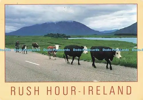 D266376 Ireland Rush Hour John Hinde Ltd Peter O Toole 1996