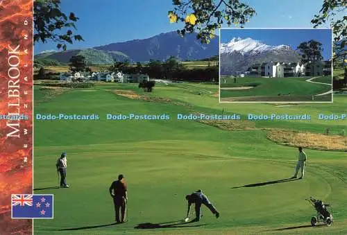 D264869 New Zealand Millbrook Colourview Publications Ltd Peter Morath