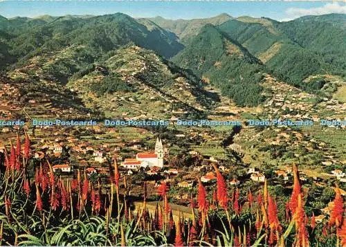 D266544 Funchal Madeira The Pico dos Barcelos Francisco Ribeiro