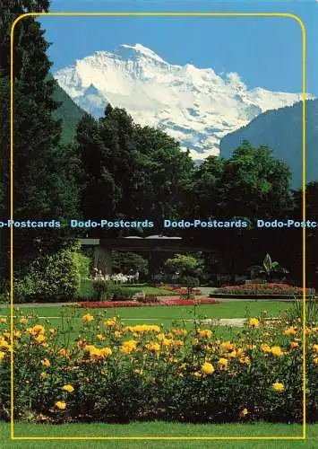 D269828 Schweiz Interlaken Berner Oberland Wefo