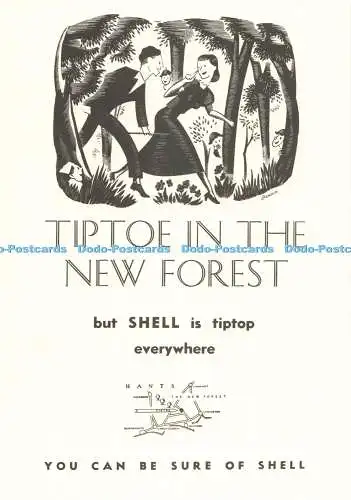 D269872 Tiptoe in the New Forest But Shell is Tiptop Everywhere J Arnold