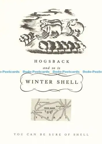 D269886 Hogsback und so ist Winter Shell A R G
