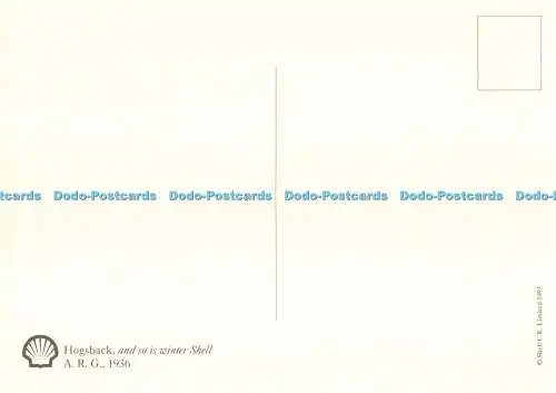 D269886 Hogsback und so ist Winter Shell A R G