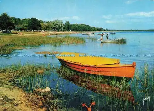 D266682 En Bordure des Pins un Lac Yvon S P A D E M