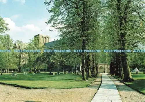 D266690 Winchester Cathedral Lime Walk Richter Postkarten Ltd C 6551