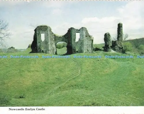 D266700 Newcastle Emlyn Castle
