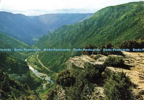 D266712 Les Gorges du Tarn le Point Sublime Cellard S P A D E M 1998