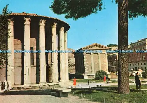 D265236 Roma Temple de Vesta g p