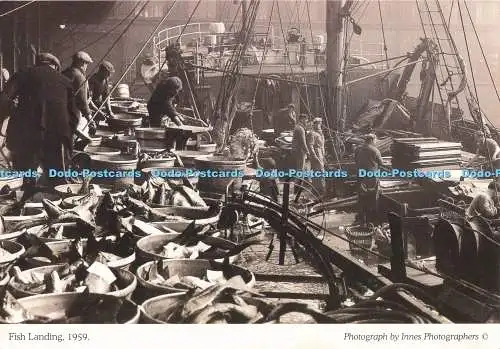 D266836 Fish Landing Dennis Print Innes Photographers 1959