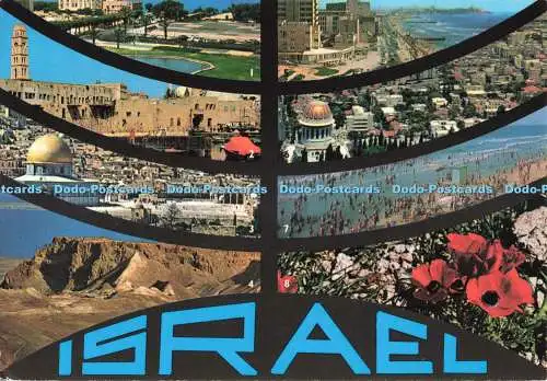 D265426 Israel Beach Anemonf Haifa Tel Aviv Palphot 1985