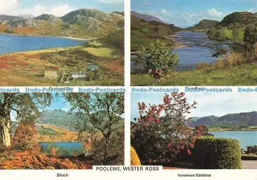 D266977 Wester Ross Poolewe Slioch Inverewe Gardens Charles Skilton and Fry Ltd