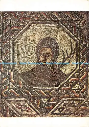 D272096 Bignor Römische Villa Kopf Winter Beric Tempest