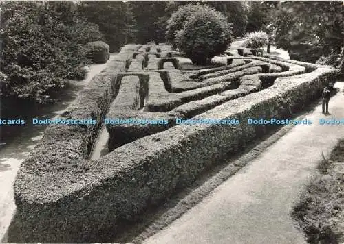D265466 Middlesex Hampton Court Palace The Maze Crown
