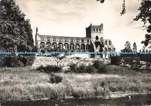 D265467 Jedburgh Abbey aus der S Crown