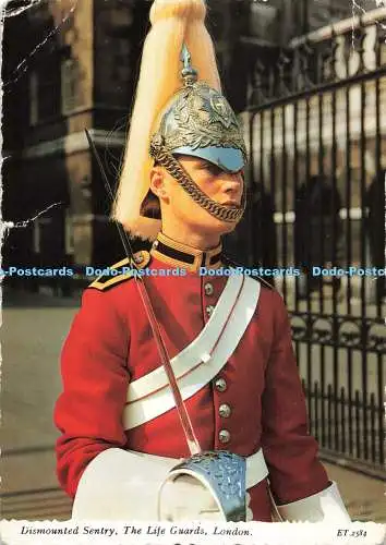 D270243 London Dismounted Sentry The Life Guards Valentine
