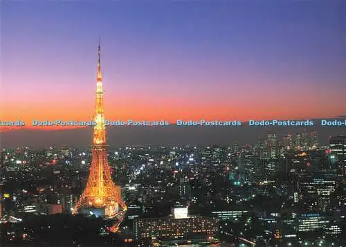 D267061 Tokyo Tower und Tokyo Night View Japan