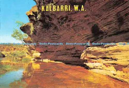 D267079 Kalbarri W A Ross Graham Aussichtspunkt Murchison Schlucht Murray Ansichten