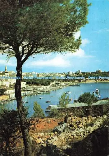 D272238 Manacor Mallorca Porto Cristo Flor de Almendro Jose Luis