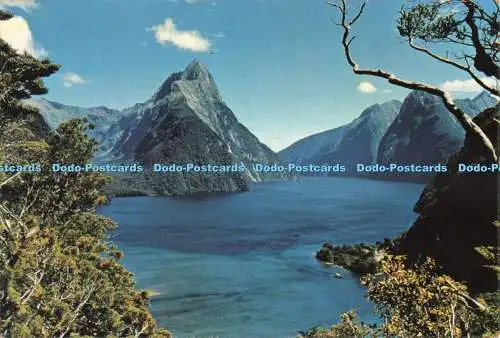 D265627 Neuseeland Milford Sound M D Willetts