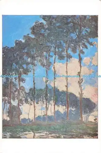 D270415 Tate Gallery Poplars on the Epte Claude Monet Henry Stone S P A D E M