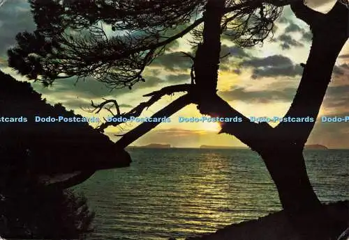 D265663 Espana Baleares Abad San Antonio Sunset Exclusivas Casa Figueretas