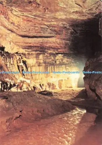 D272301 Dan yr Ogof Showcaves The Organ Pipes in Cathedral Showcave PhotoPrecisi
