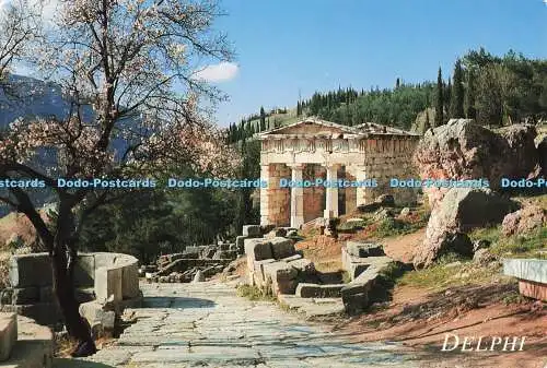 D267186 Delphi Griechenland Haitalis