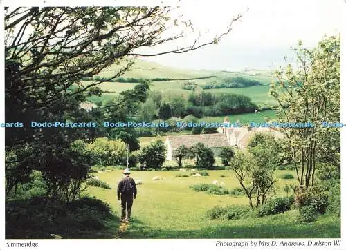 D267191 Kimmeridge Dorset Federation of Women Institutes Judges of Hastings Mrs