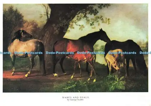 D265680 Mares and Foals Medici Society Ltd George Stubbs