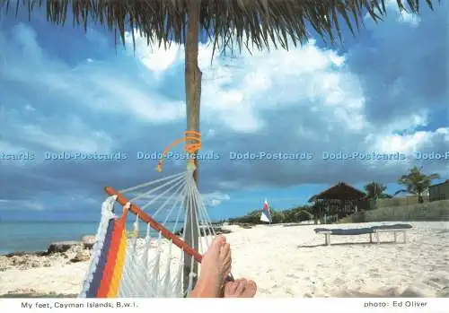 D270471 B W I Cayman Islands My Feet Ed Oliver 1985