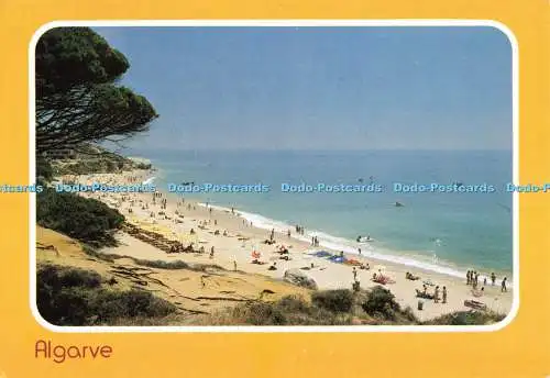 D267231 Algarve Praia da Oura Foto Vista