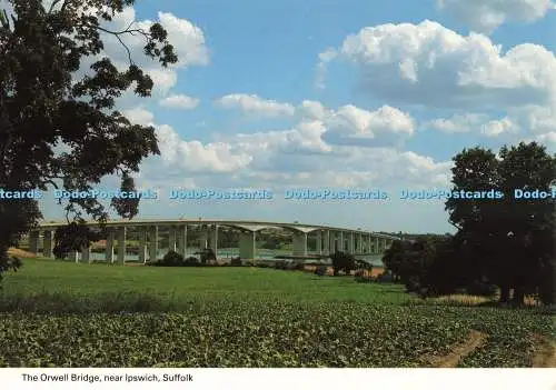 D270504 Suffolk The Orwell Bridge Near Ipswich Shoreline Cards E T W Dennis D Ha
