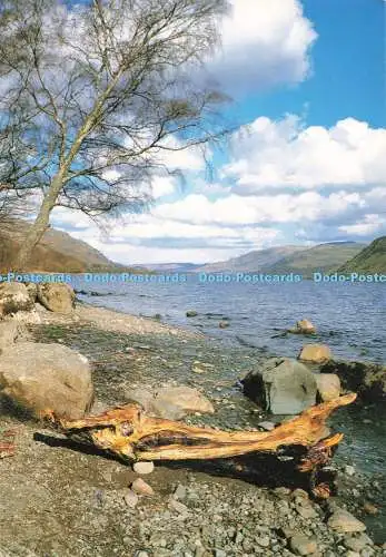 D272391 Cumbria Ullswater Wright Pictures Tom Wright 1989